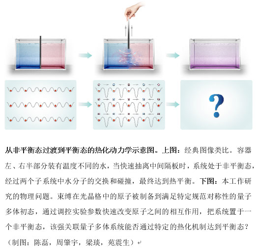 中国科大超冷原子量子模拟获重要进展：格点规范场理论热化问题得解(图1)