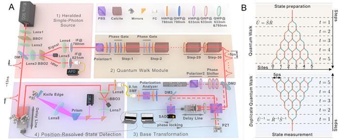 中国科大实现开放光量子行走的高效机器学习