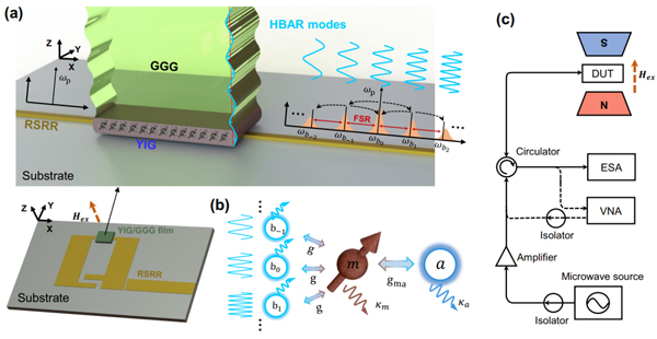 中国科大利用磁力系统实现宽带磁声混合频率梳